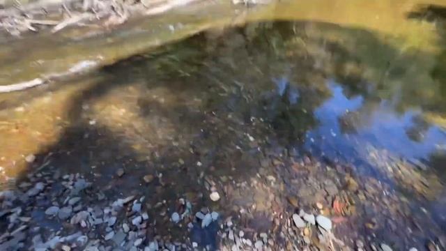 Путешествие по диким местам золотоносной реки Голборн Австралия, поиск золота детектором смотреть онлайн