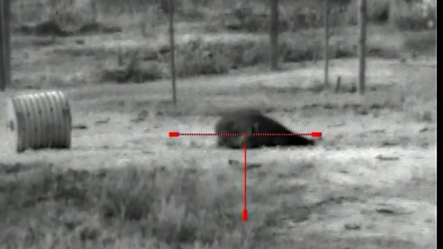 YUKON PHOTON XT Entrou cedo no cevadouro смотреть онлайн