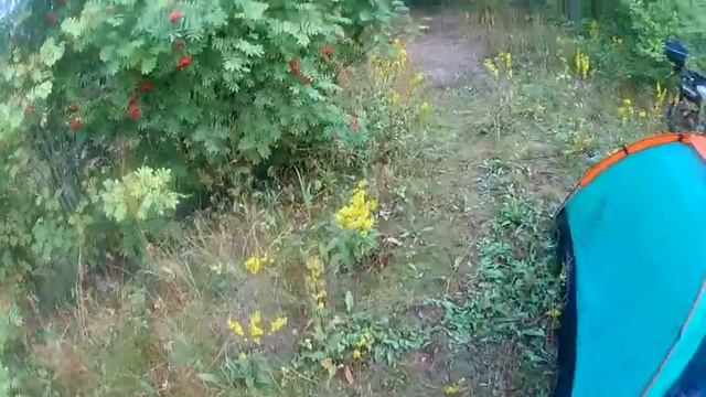Поход в лес с ночевкой 2 серия . смотреть онлайн