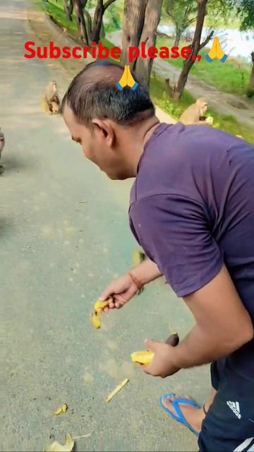 Jaisi karni vaisi bharni#youtubeshorts #funnyvideos #bollywoodsongs #viral video смотреть онлайн