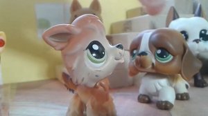 LPS сериал : Школа