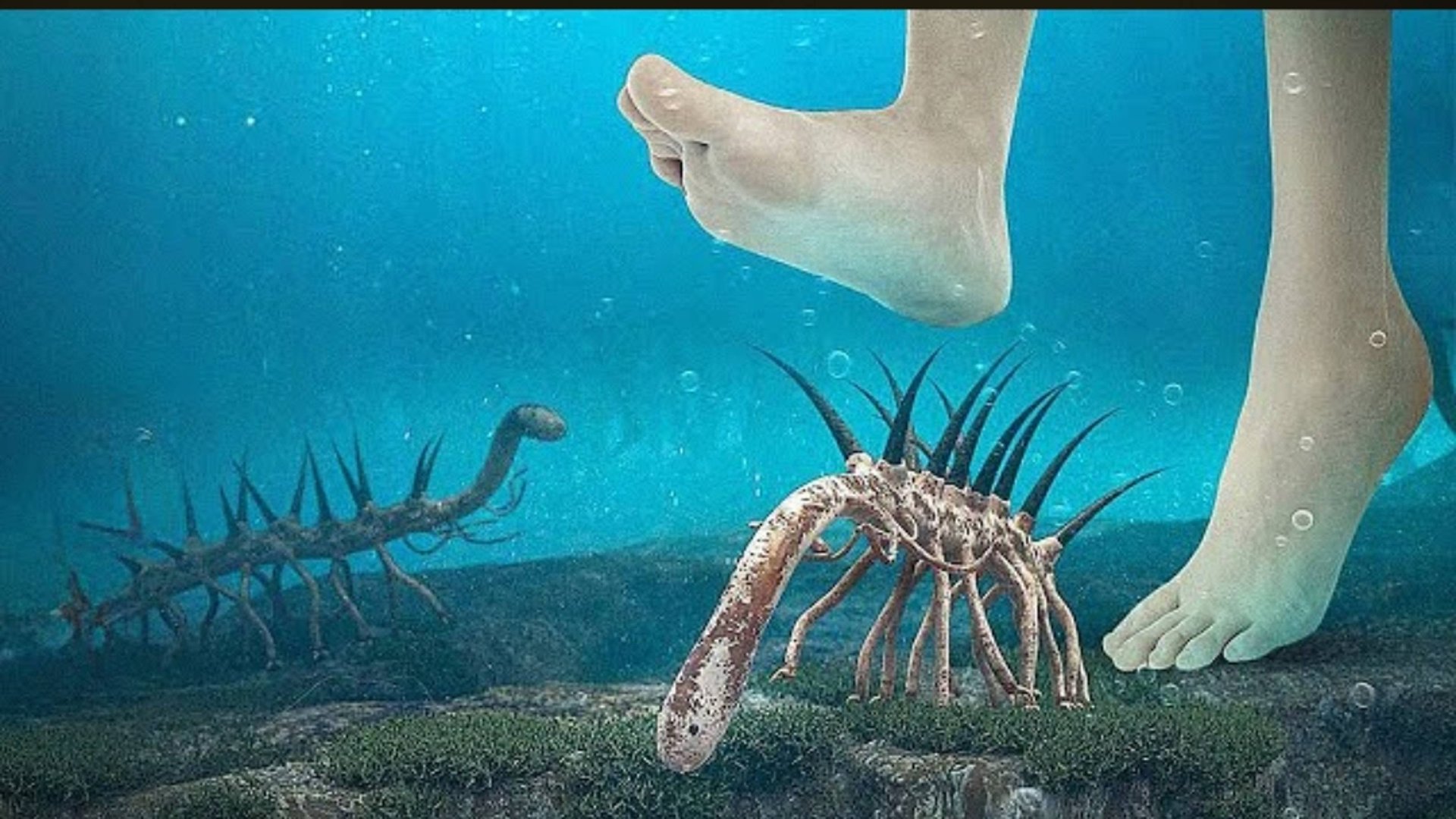 Почему ты не выживешь в ордовикском периоде смотреть онлайн