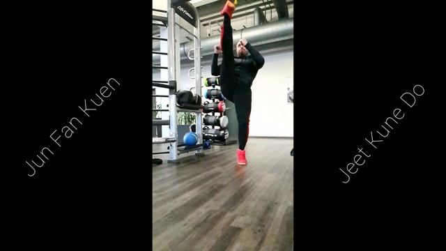 Martial Arts. Jun Fan Kuen and Jeet Kune Do . Frontal Kick. смотреть онлайн