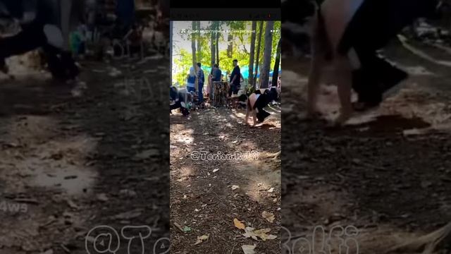 видео с квд (не мои) #териан #квадробика #подпишись #therian смотреть онлайн