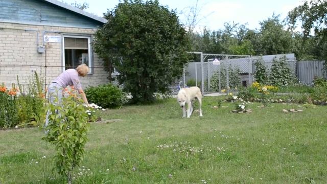 комплекс смотреть онлайн