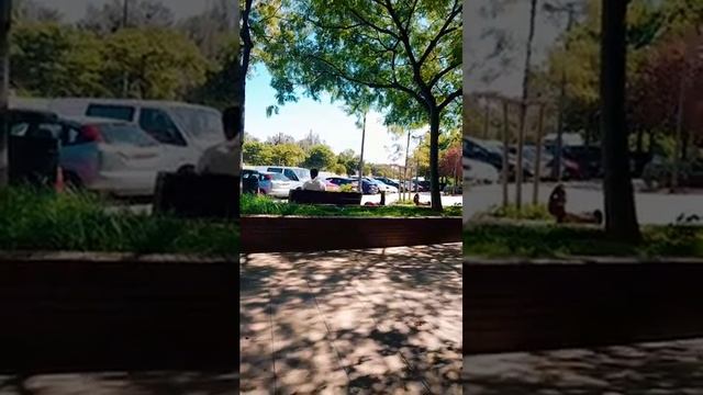 Мир Знает точно! смотреть онлайн