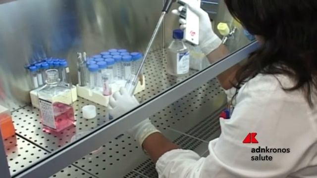 Studio italiano, trapianto del microbiota doppio 'scudo' contro super-bug смотреть онлайн