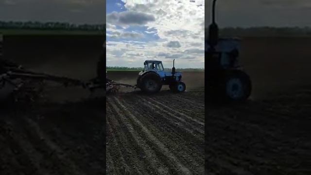 СЕЕМ СОЮ смотреть онлайн