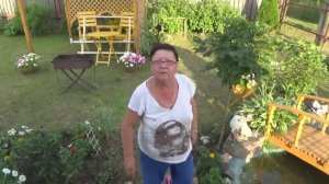 6 соток 5 июля 2020 года. Хроника.