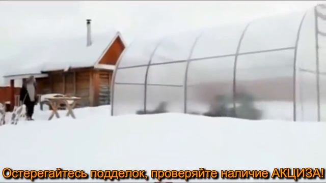 Теплица Сибирская смотреть онлайн