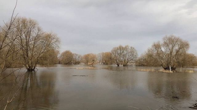 Паводок в Рязанской области