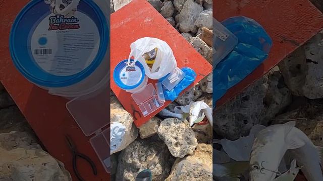 #bahrain,shore fishing,barracuda hunter,the only one super effective lure... смотреть онлайн