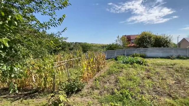 Продается земля в Шагаровке 15 соток смотреть онлайн