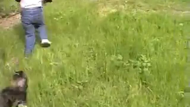 MOL007.ASF смотреть онлайн