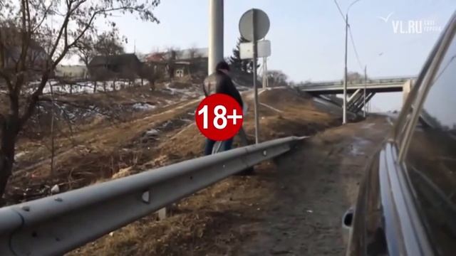 Самая свежая подборка #coub 6