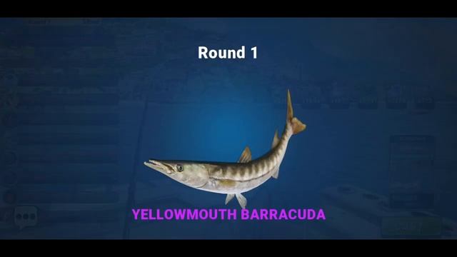 How to open Epic and Mythical tabs? Positano. Fishing Clash смотреть онлайн