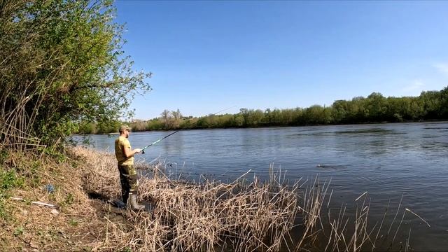 Рыбалка в проводку с кормушкой. Клев крупного голавля. | Апрель 2024. смотреть онлайн