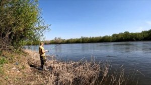 Рыбалка в проводку с кормушкой. Клев крупного голавля. | Апрель 2024.