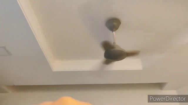 Crompton Senorita 48