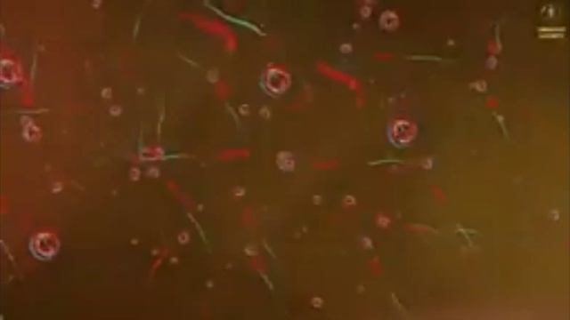 из конференции 22.04.23(4) смотреть онлайн