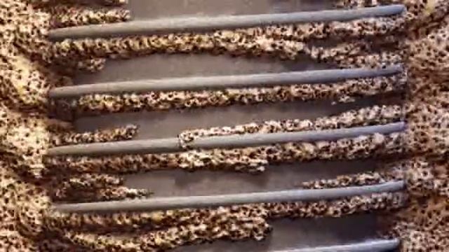 TiUnite Bone Growth смотреть онлайн