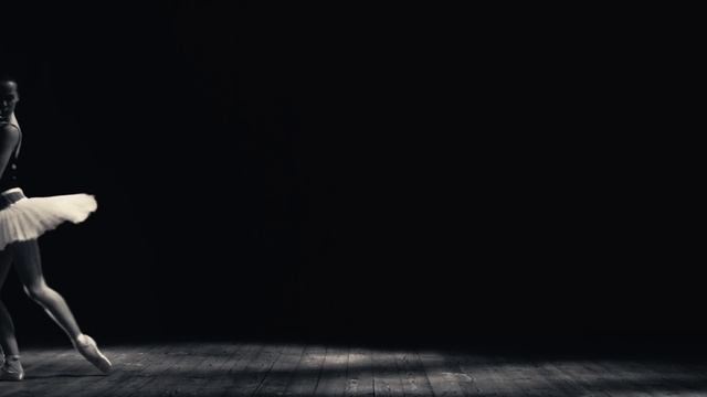 ADAM Project - Sea-Gulls / Comme La Pluie Teaser#1