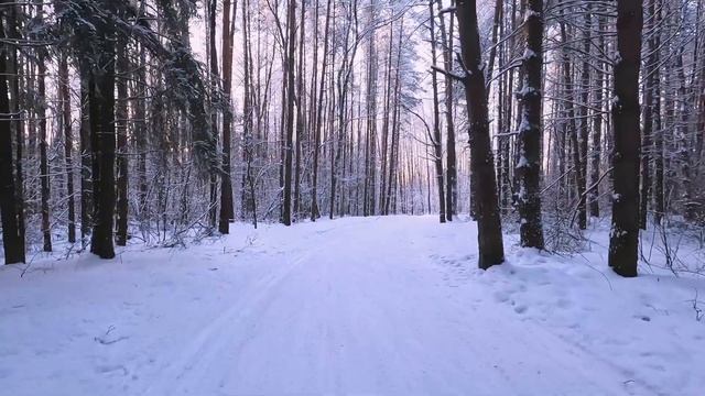 4К Прогулка по зимнему парку | Видео для прогулок и отдыха | Релакс музыка смотреть онлайн
