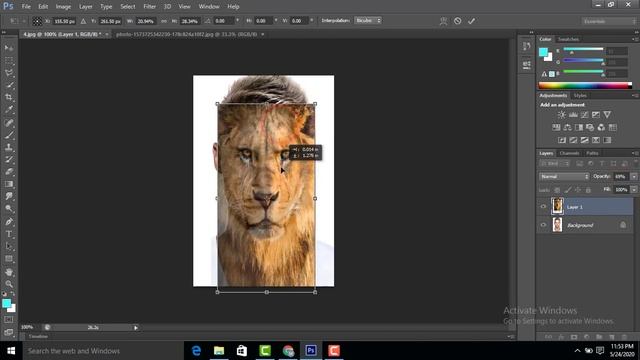 Adobe Photoshop Tutorial Face Wolf Effect