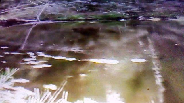 Осенняя ловля рыбы на лесной реке.
Очень интересно и познавательно.