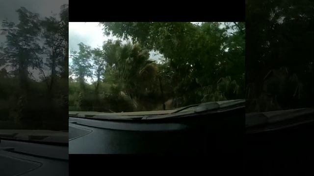 Nissan Navara offroad Sunday смотреть онлайн