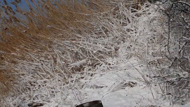 Снег в Анапе! Пляж Малая бухта 8-го февраля