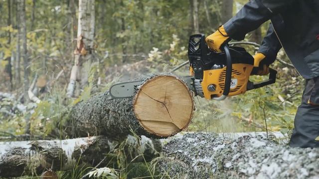 Бензопила DENZEL DGS-4516 (1605902)