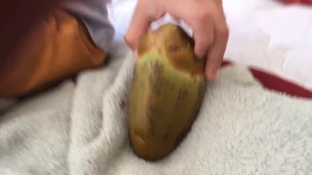 Raising a Coconut смотреть онлайн