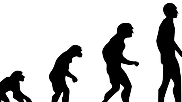 The Fermi Paradox смотреть онлайн