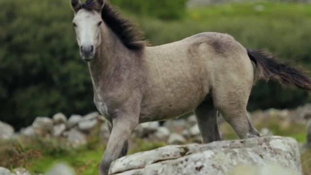 Relaxing Video | Soothing Video | Beautiful Video | Красивое расслабляющее видео