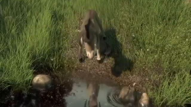 shrek-hallelujah song-cover by-jcj music смотреть онлайн