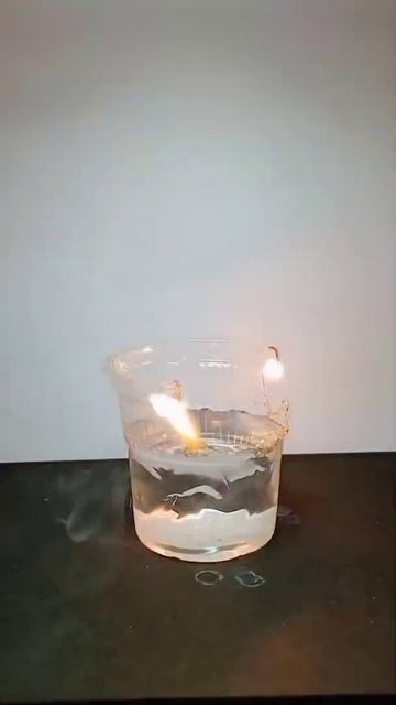 Science Experiment | #shorts #experiment #scienceexperiment смотреть онлайн