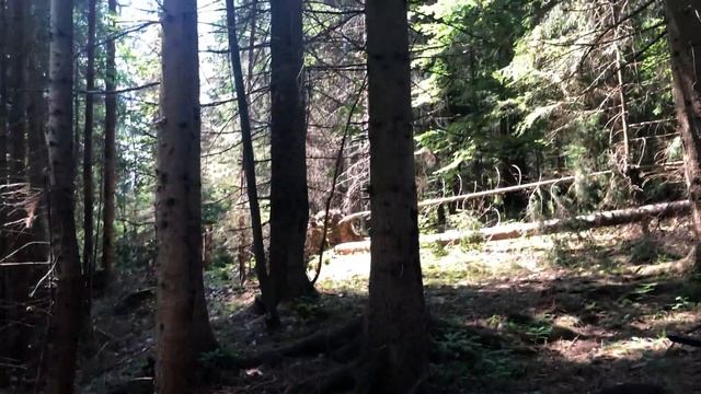 Hojdacia Sieť 180x80cm Od Miltecu (SK)