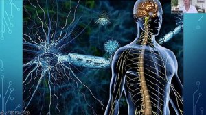 Лекция "Введение в анатомию и физиологию человека" 25.01.25