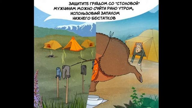 10 Фактов о медведях смотреть онлайн