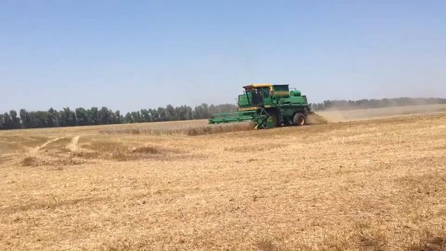 07.07.2013. Уборка 111 га. Осталось  около 70 га на начало дня.