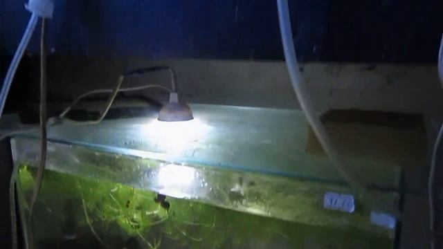 Обзорчик ноября 2022 смотреть онлайн