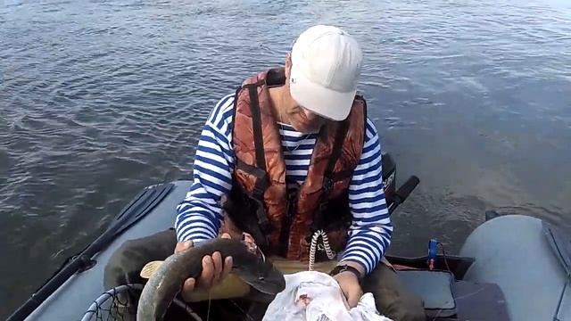 VID 20170820 120600 смотреть онлайн