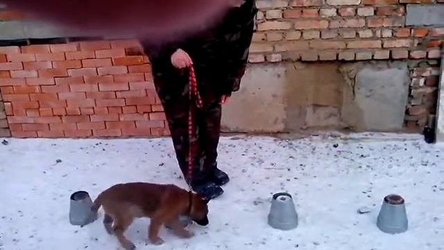 ЛЮЦИЯ и КОНУСЫ смотреть онлайн