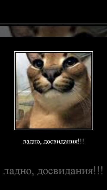 раследование шлёпы🔹кто взял мои чебупели!!!🔹2 серия #shorts смотреть онлайн