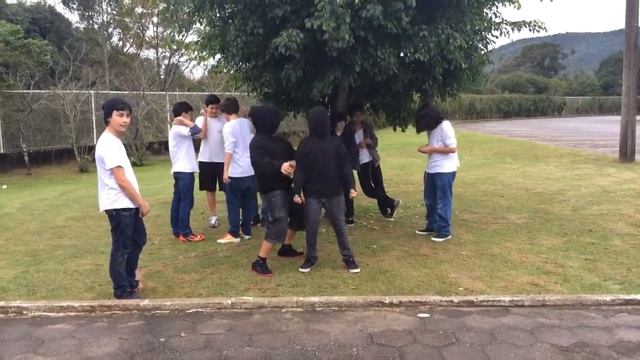 Cruz e Souza Harlem Shake 8 Ano C смотреть онлайн