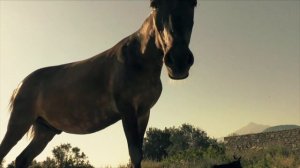 Болезнь - ограничитель скорости