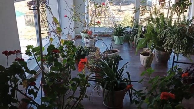 "Өрел орта мектебі КММ" Қысқы бақ смотреть онлайн
