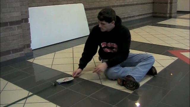 Newton's Third Law Video Project