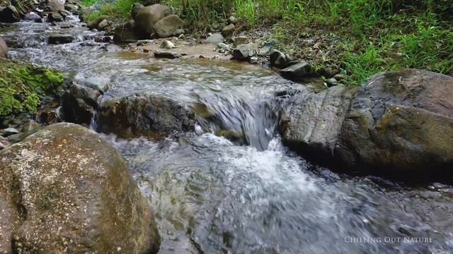 Peaceful Forest River - Flowing Water, White Noise for Sleep, Study смотреть онлайн